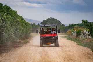 וילה בקיבוץ דפנה - אירוח וטיולים בלב טבע פראי - 9