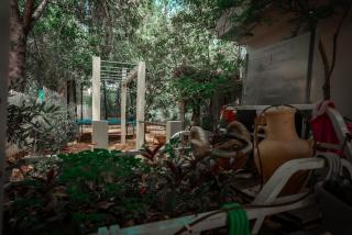 וילה בקיבוץ דפנה - אירוח וטיולים בלב טבע פראי - 7