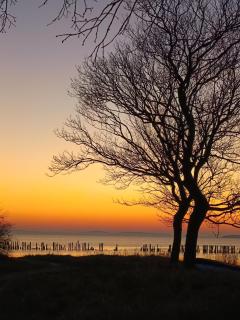 Ferienwohnung BoddenBee - 5