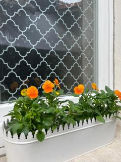 Dans Maison privée Appartement de charme, 70m2 avec pergola Et jardin à 20min MARCHE de NOEL de Strasbourg - 1