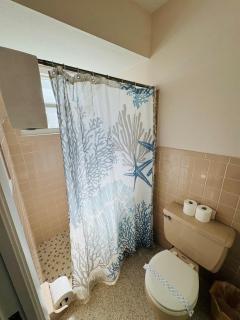 763 North Shore Downstairs Apts - 3