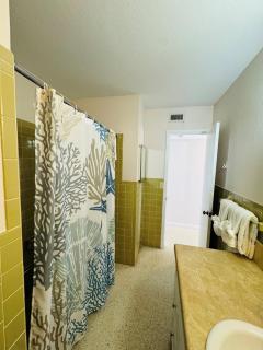 763 North Shore Downstairs Apts - 1