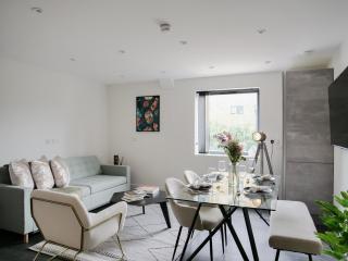 Modern one bedroom flat in the Heart of London - 8