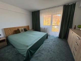 Apartament Hanna - Straja - 2