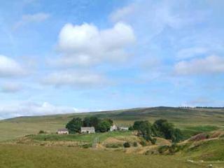 Rowan Cottage-80119 - Catcleugh - 1