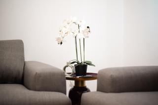 City C Prime Residence - 8