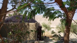 Mountain View House - 2