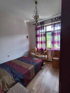 Mountain View Guesthouse - 9