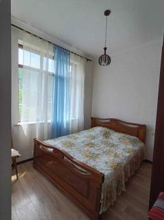 Mountain View Guesthouse - 7