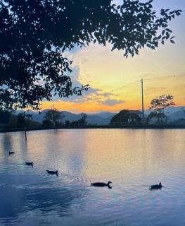 Pousada Encantos do Marambaia - 0