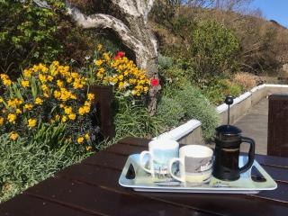 Boatmans Cottage - 27787 - 8