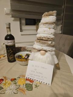 Jovana stan na dan Pale - 4