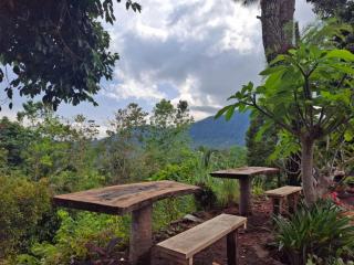 Hillside guest house and restaurant - 8