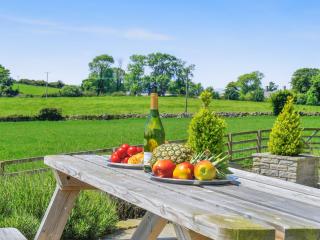 Gelli Gron Open Pastures - 3