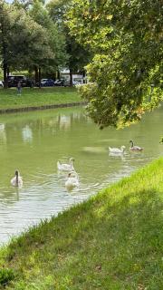 Bright Studio with Private Terrace near Nymphenburg Castle - 2