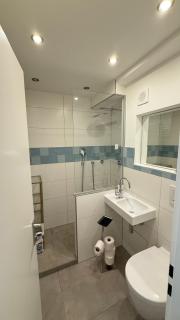 Bright Studio with Private Terrace near Nymphenburg Castle - 3