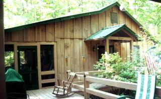 Secluded Tree House Cabin Tucked Away in the Woods near Blue Ridge, Georgia - 2