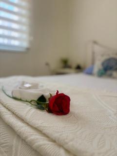 Beachfront Studio, fully equipped - 2