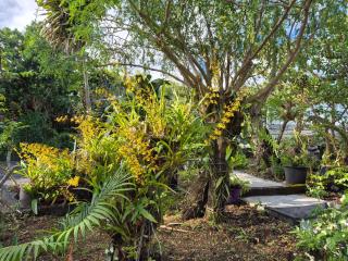 Chalet Les Planifolias - 8