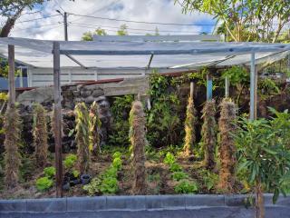 Chalet Les Planifolias - 4