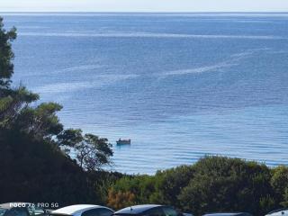 The summer house - 7