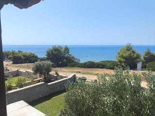 The summer house - 6