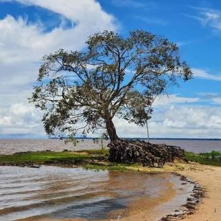 MARMITãO da Nega - 2