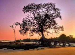 MARMITãO da Nega - 1