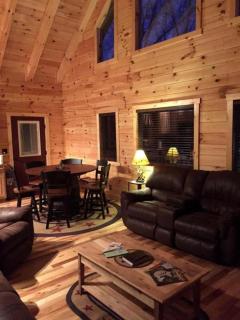 Spectacular Log Cabin Rental near High Bridge Trail State Park in Farmville, Virginia - 3