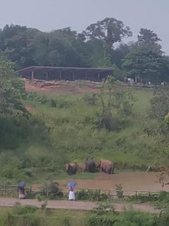 Pinnawala Elephant Front View Hotel - 8