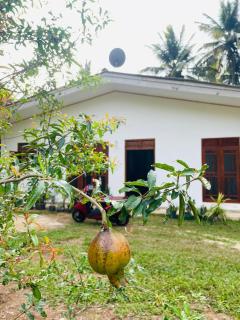 Green Pearl Villa - 6