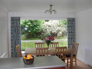 Lakeview Cottage - 7