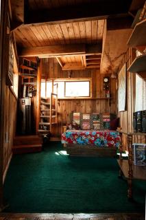 Tree House Style Cabin Nestled at the Foot of Scenic Snow-Capped Mt. Adams, Washington - 4