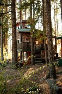 Tree House Style Cabin Nestled at the Foot of Scenic Snow-Capped Mt. Adams, Washington - 2