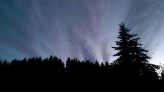 Tree House Style Cabin Nestled at the Foot of Scenic Snow-Capped Mt. Adams, Washington - 1