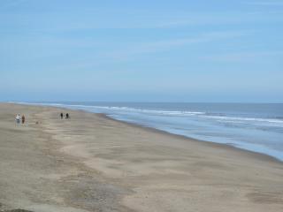 Curlew Cottage - E3752 - 1