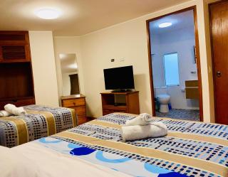 Suite Independiente con Baño Privado – Miraflore - 6