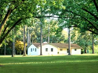 Magnificent Three-Bedroom Cottage Rental near Downtown Bainbridge, Georgia - Bainbridge - 9