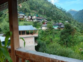 Tirthan Majestic View Homestay - 1