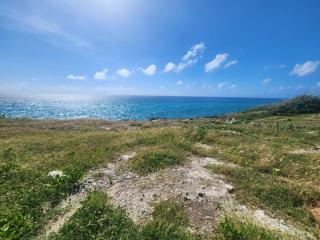 Sunrise Breeze Barbados - 9