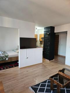 Apartman Amigo-Free public parking - Sarajevo - 9