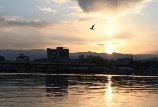 Nova Stay Gangneung - 1