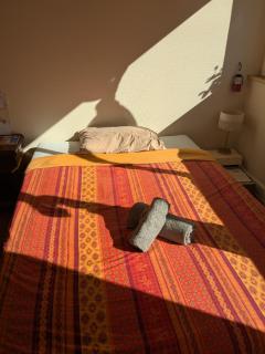 Chambre cozy, vue sur jardin, proche Tram centre ville & aéroport - 0