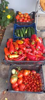 Deda Bocin konak - 3