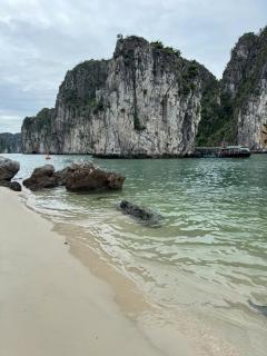 Premium Cruises Halong - Lanha Bay - 9