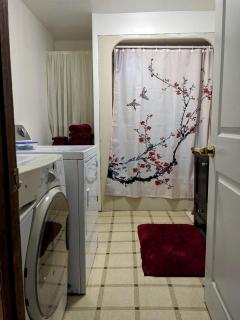 Vintage Cabin Rental near Tippy Dam in Manistee National Forest, Michigan - 9