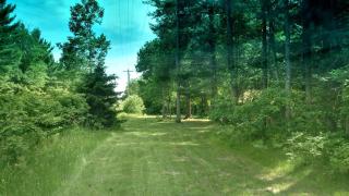 Secluded Rustic Cabin Rental Inside Manistee National Forest in Brethren, Michigan - 8