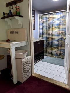 Secluded Rustic Cabin Rental Inside Manistee National Forest in Brethren, Michigan - 7