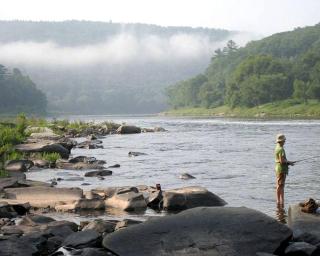 Charming Cottage Rental with Antique Decor in Narrowsburg, New York - 6