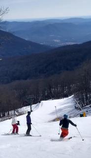 Laurel Springs Retreat - 6